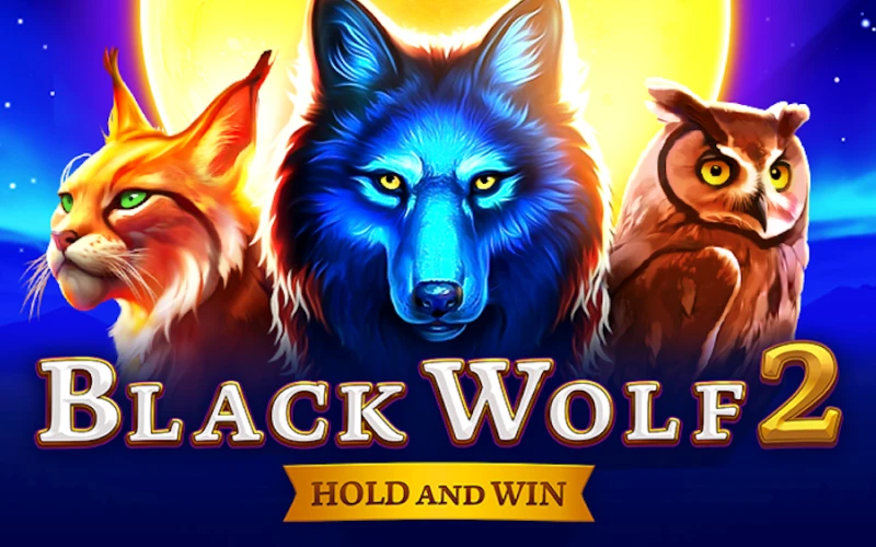 Black Wolf 2 is one of the popular games at 1xbet.