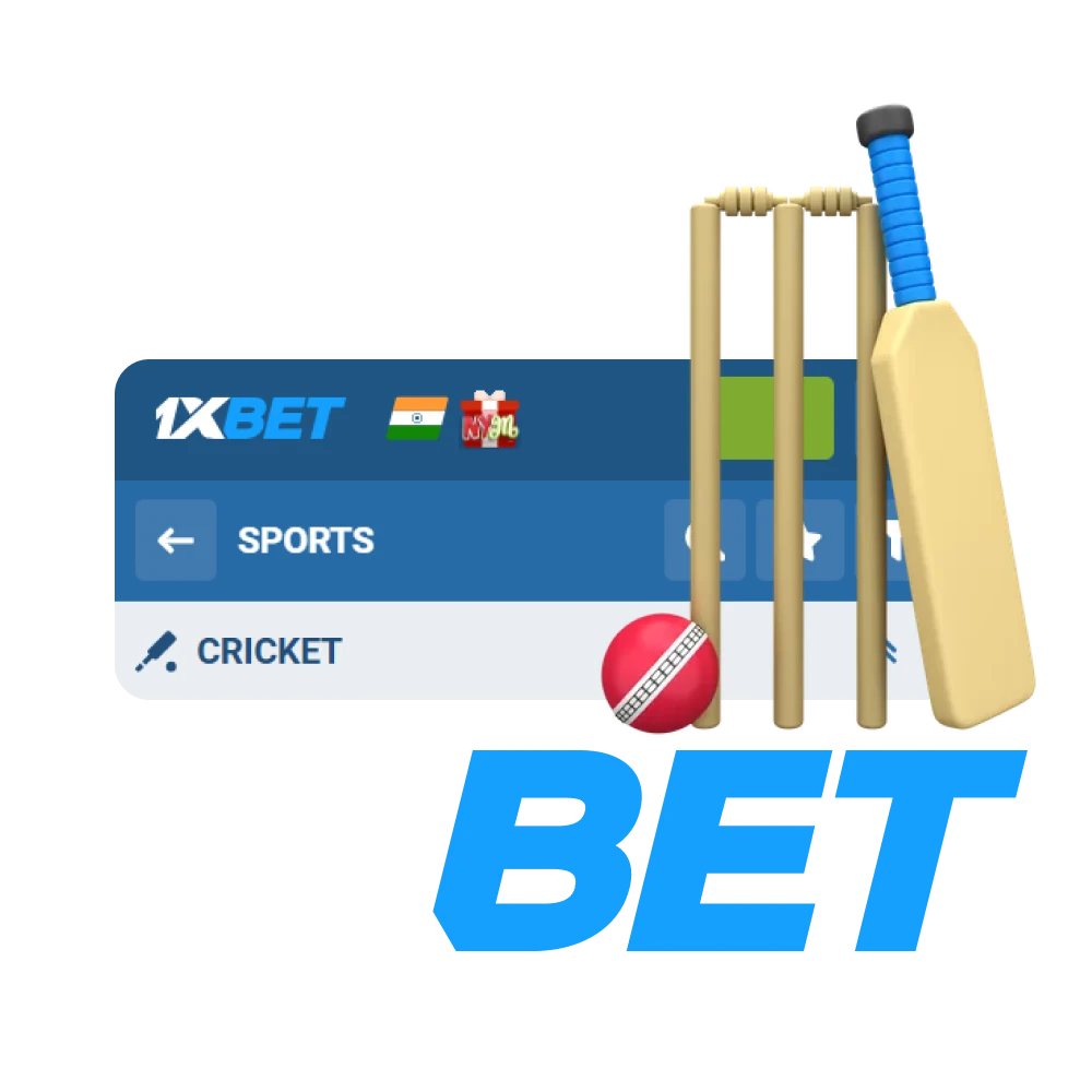 Place bets on cricket at 1xbet.